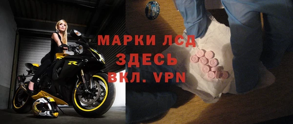 гидра Арсеньев