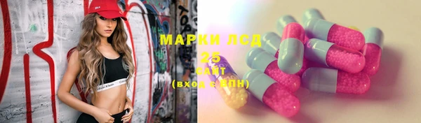 прущие крисы Аркадак