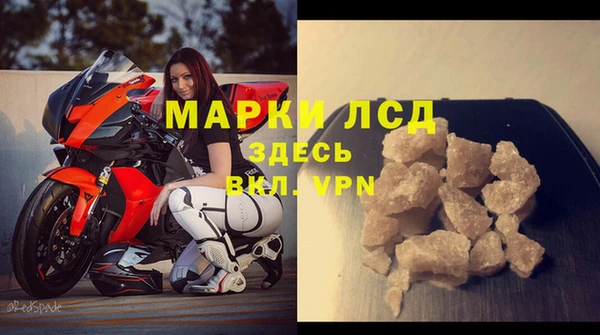 гидра Арсеньев