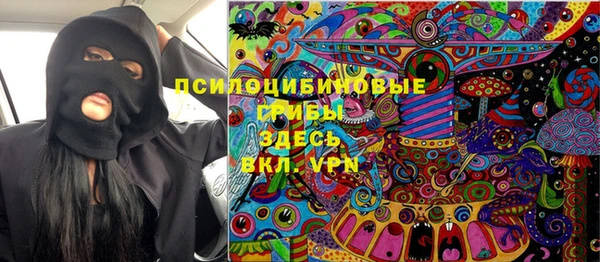 гидра Арсеньев