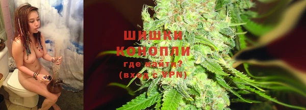 гидра Арсеньев