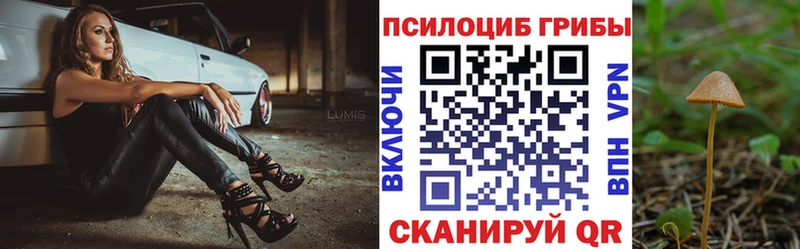 Псилоцибиновые грибы GOLDEN TEACHER  где найти наркотики  Талдом 